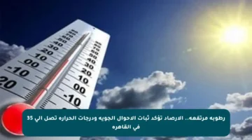 رطوبة مرتفعة.. الأرصاد تؤكد ثبات الأحوال الجوية ودرجات الحرارة تصل إلى 35 في القاهرة